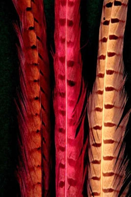 Cascade Crest: Ringneck Pheasant Tail Feathers