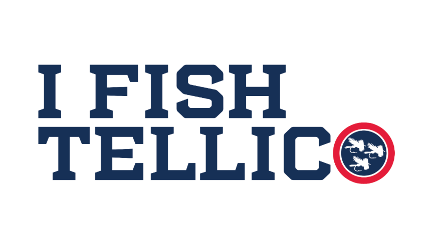 I Fish Tellico t-shirt