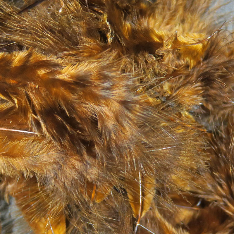 Grizzly Marabou
